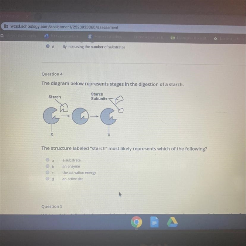 The structure labeled "starch" most likely represents which of the following-example-1