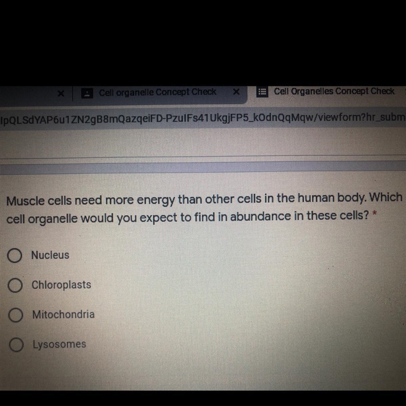 Muscle cells need more energy than other cells in the human body. Which cell organelle-example-1