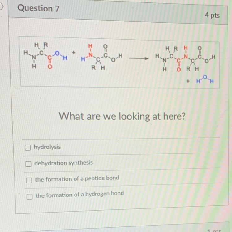 Bio homies please help me-example-1