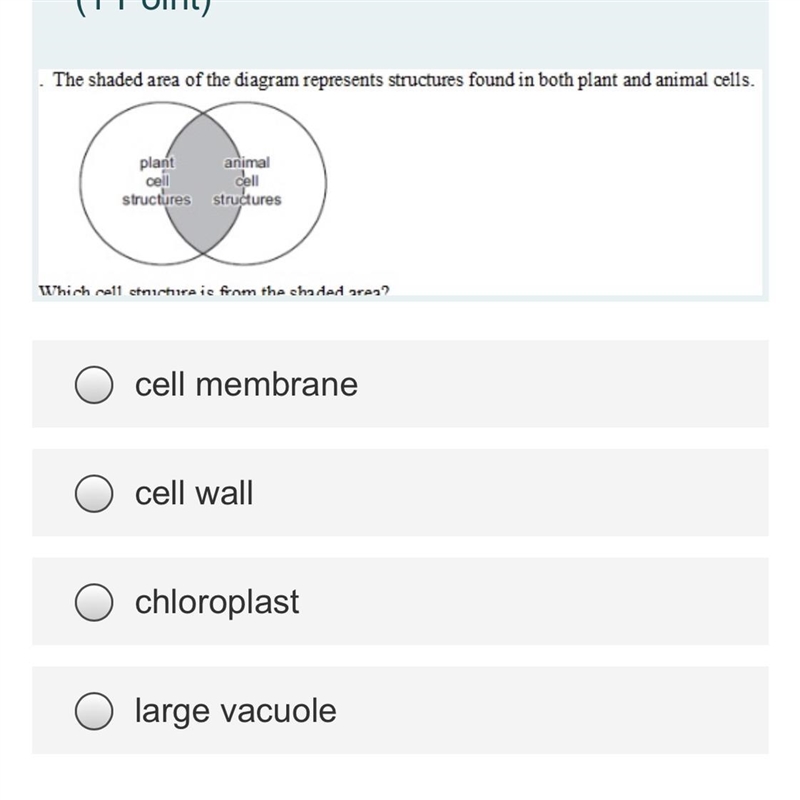 Help please I have no time-example-1