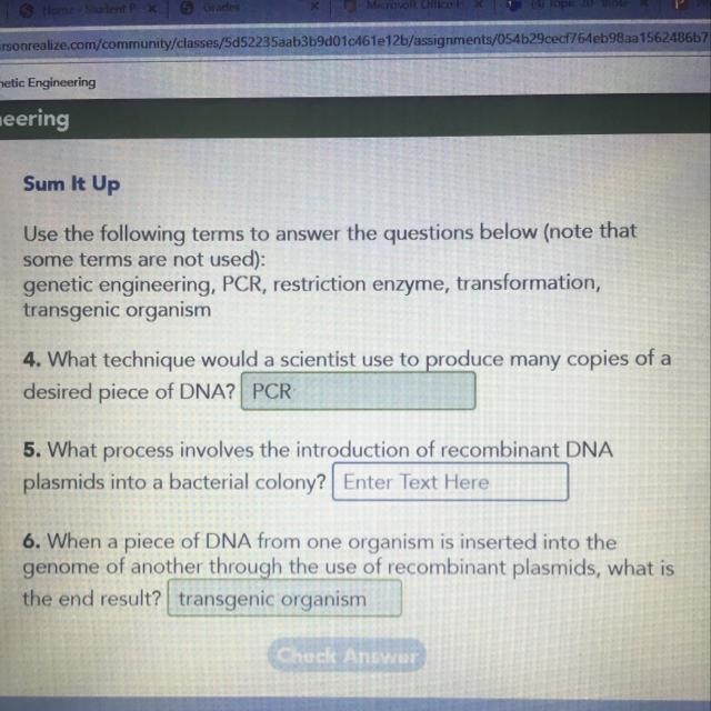 What process involves the introduction of recombinant DNA plasmids into a bacterial-example-1