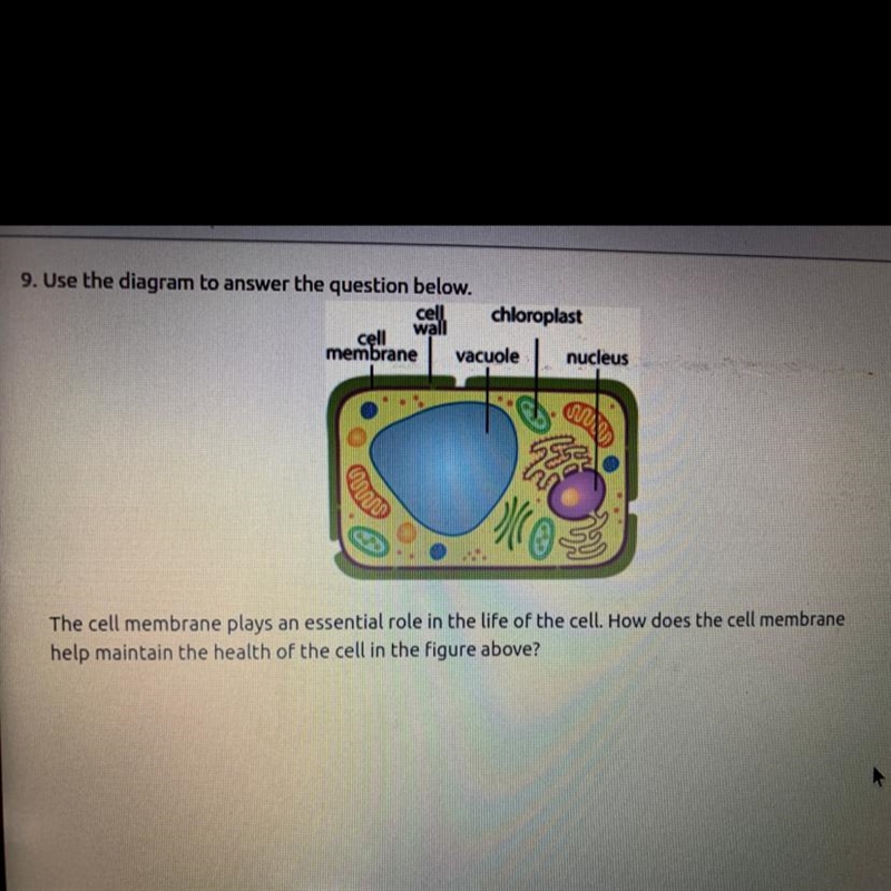 9. Use the diagram to answer the question below. cell chloroplast wall cell membrane-example-1