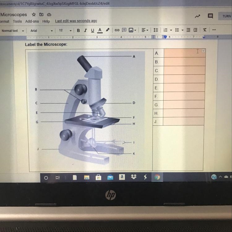 Label the Microscope:-example-1