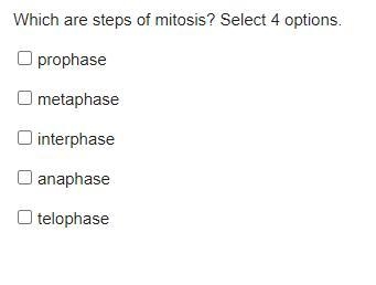 Which are the four steps of mitosis?-example-1