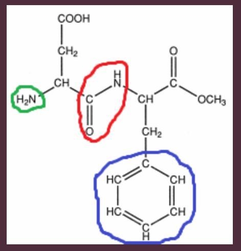 Which color circle includes the peptide bond? -red -green -none of them -blue-example-1