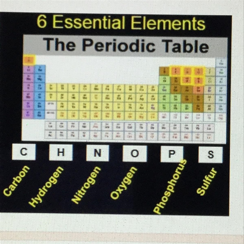 The six essential elements are shown in Image 2. Which two elements MUST be present-example-1