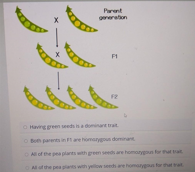 (please help me) Select the correct answer. Mendel performed studies on the seed color-example-1