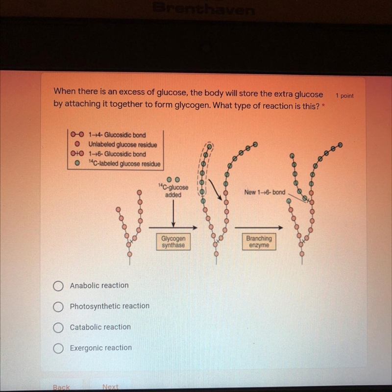 When there is an excess of glucose, the body will store the extra glucose by attaching-example-1