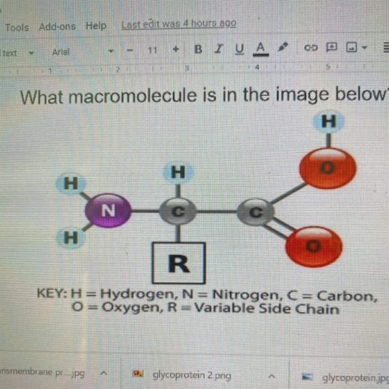 What macromolecule is in the image below-example-1