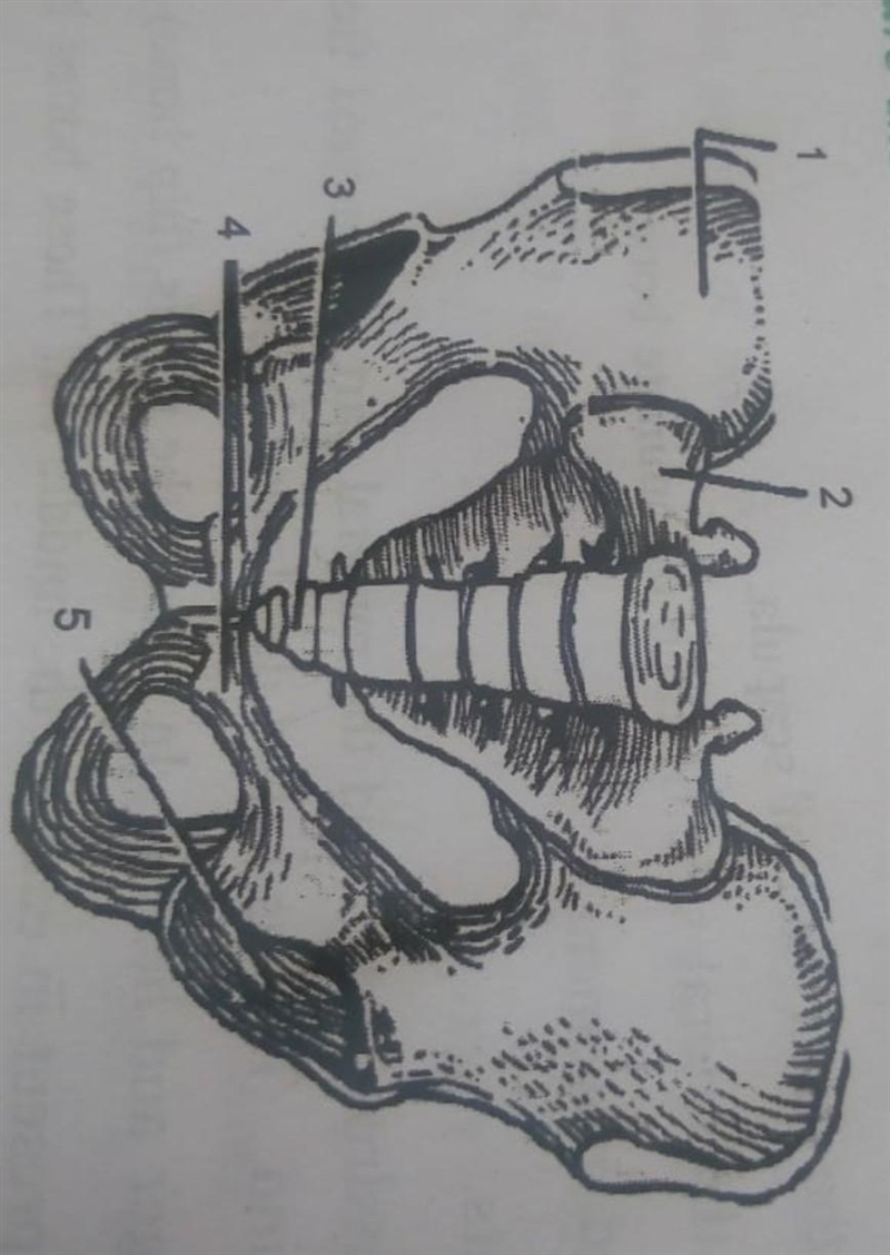 Any one can please fill all the labellings​-example-1