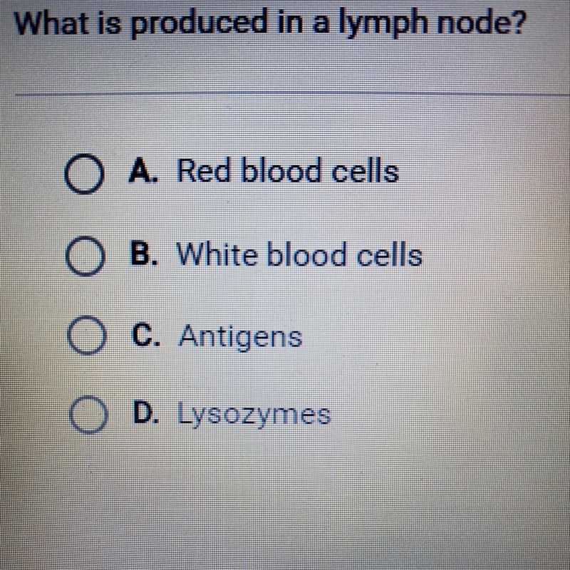 What is produced in a lymph node?-example-1