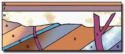 Using the diagram, which of the structures is the oldest? H F M B-example-1