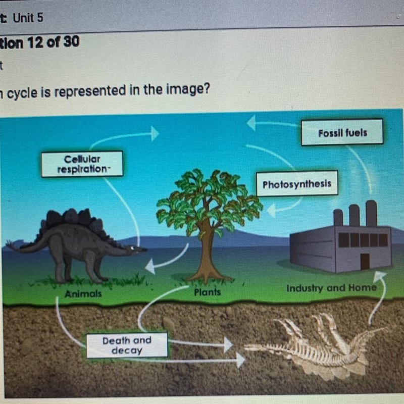 Which cycle is represented in the image?-example-1