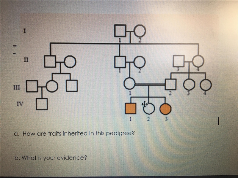 Can someone help me? I don’t understand this. A) How are traits inherited in this-example-1