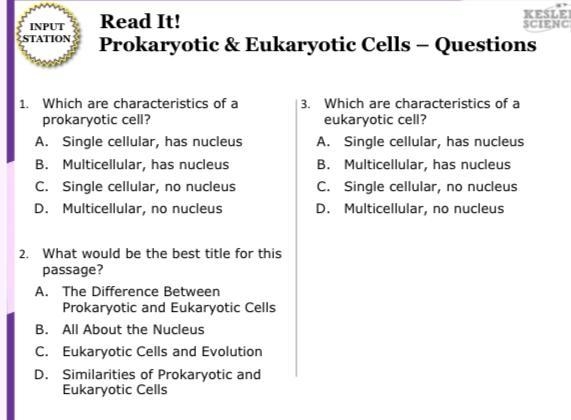 Pls help me with this!!!-example-1