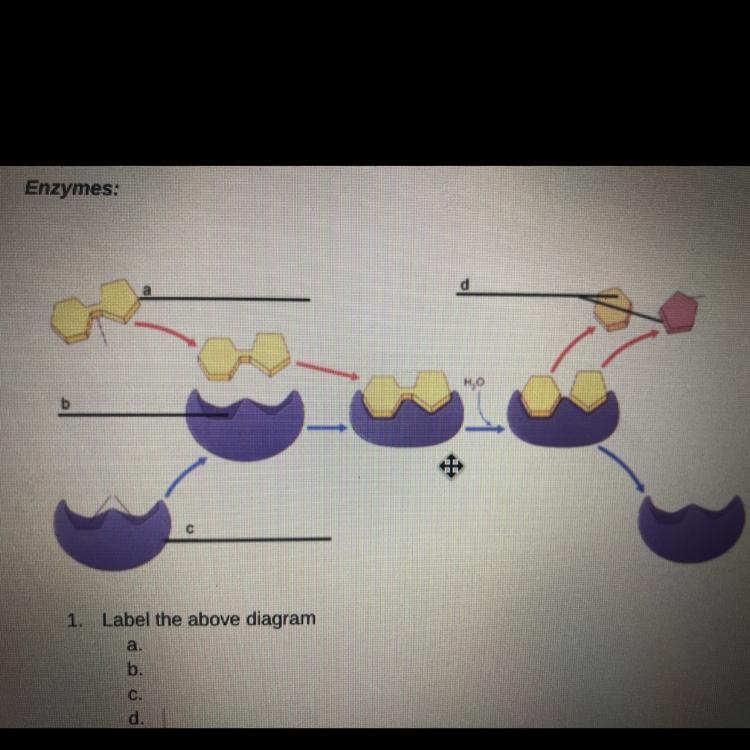 Label the diagram above-example-1