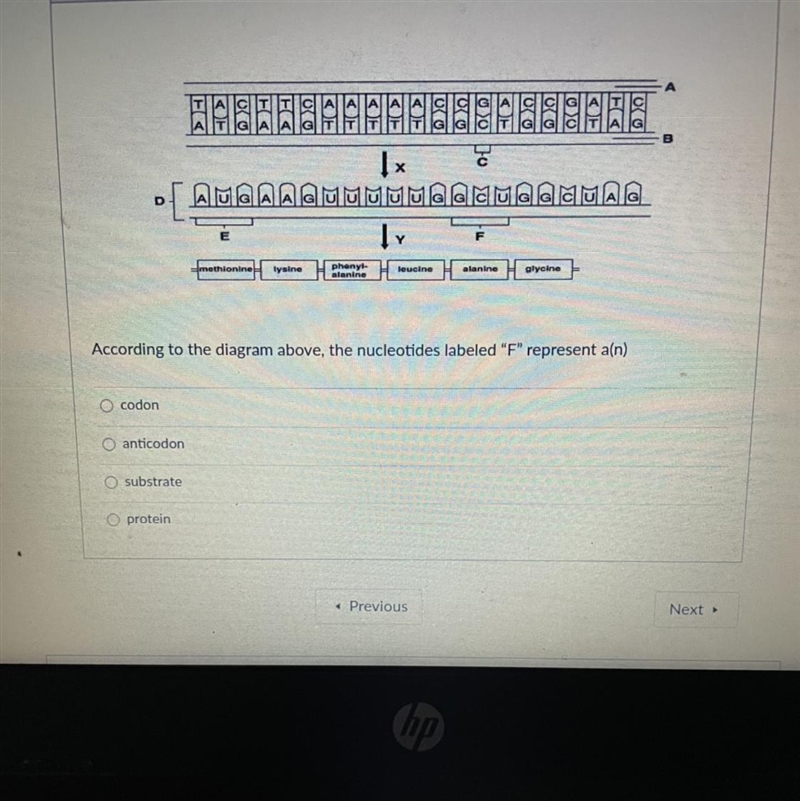 Helps pls easy points-example-1