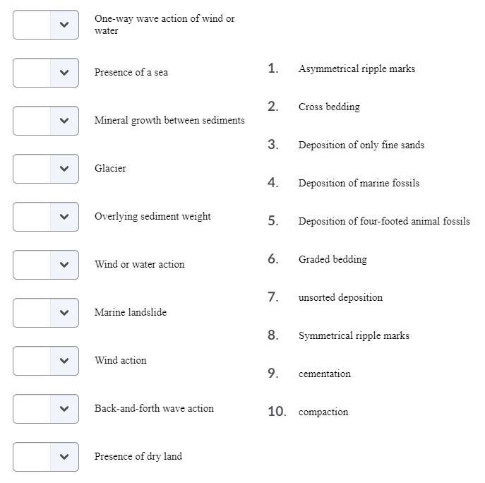 Match each item with the correct process below.-example-1