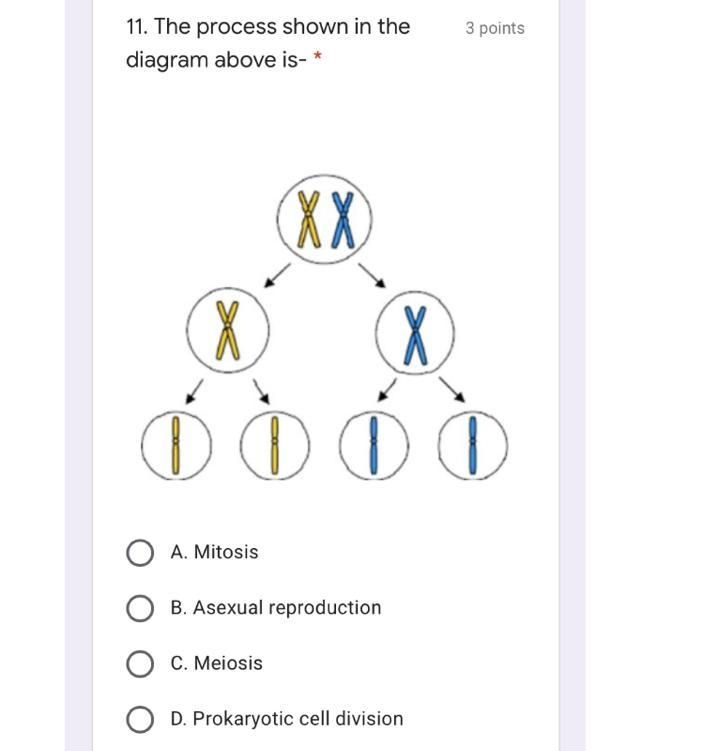 Someone please help me with this question!!!-example-1