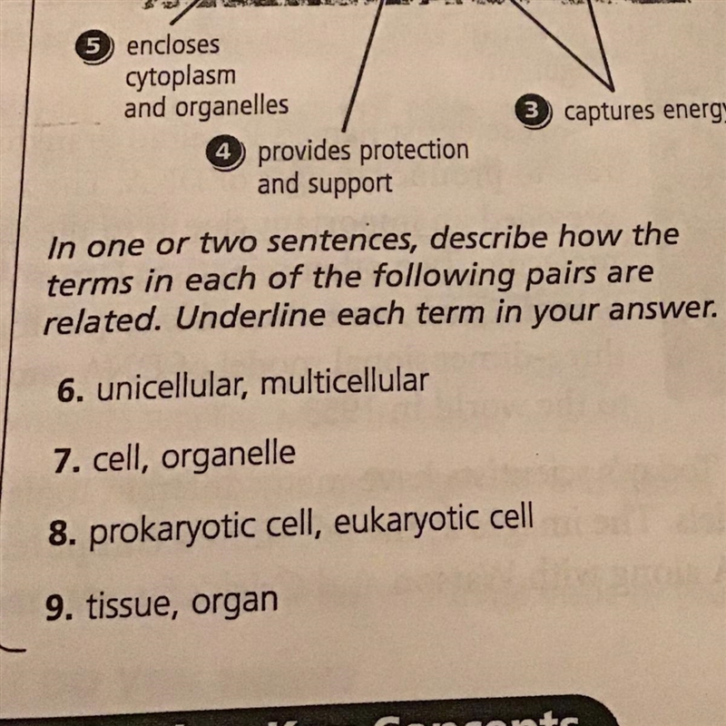 in one or two sentences, describe how the terms in each of the following pairs are-example-1