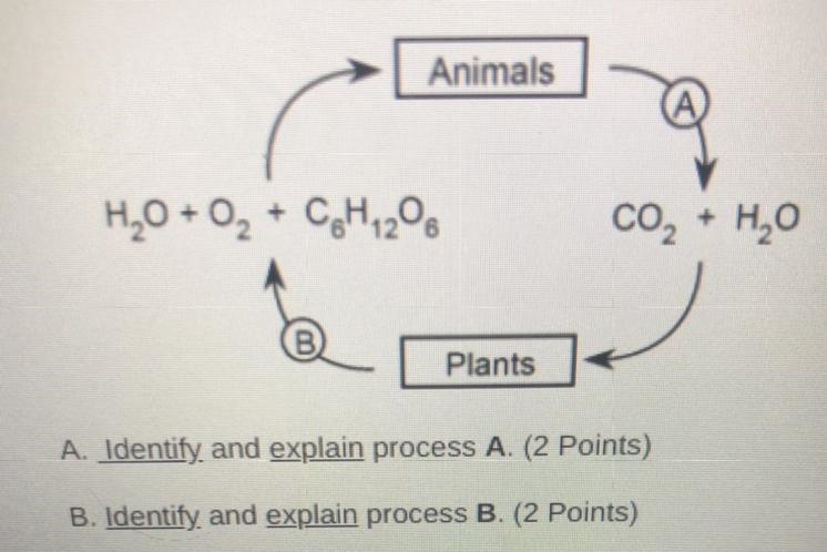 HELP ! PLEASE Can you help me quickly-example-1