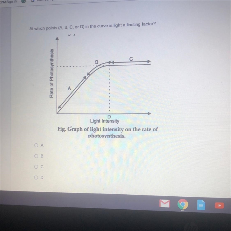 At which points (A, B, C, or D) in the curve is light a limiting factor?-example-1