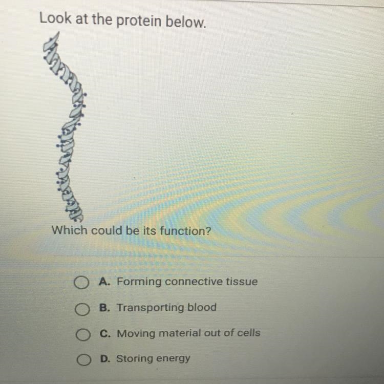 Which could be its function???-example-1