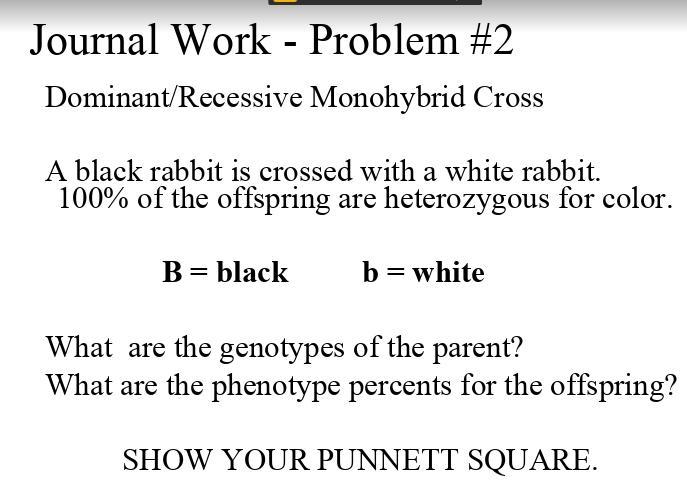 Describe the Phenotypes and Genotypes of the Rabbits-example-1