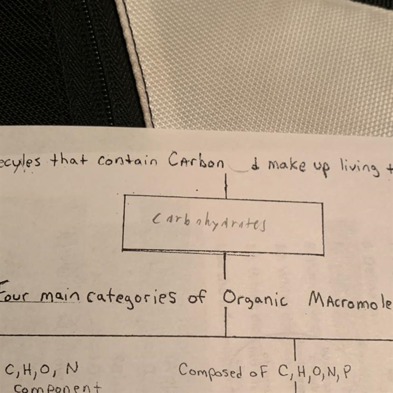 Four main categories of organic molescules.-example-1