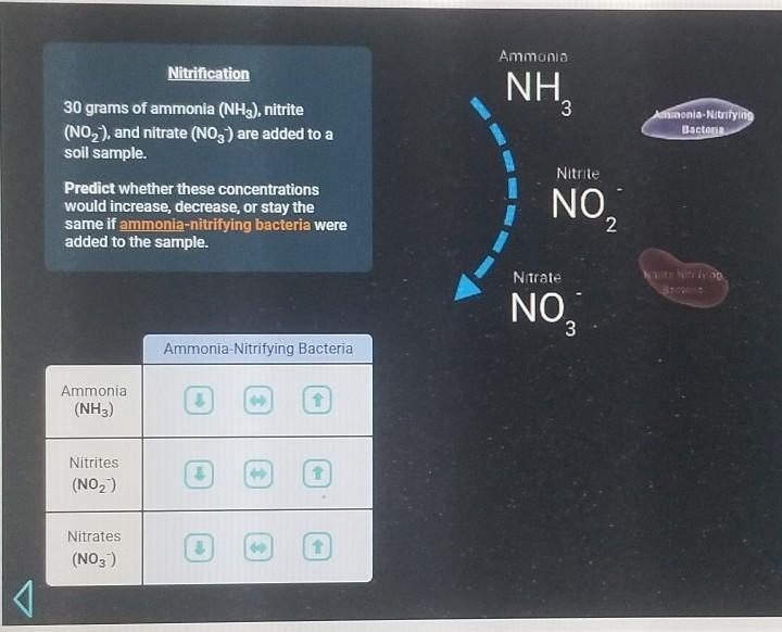 GIZMOS NITROGEN CYCLE SCIENCE LAB! Which arrows do I click? (One for each row) ​-example-1