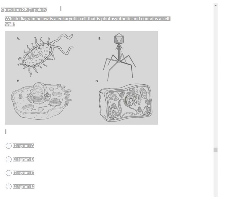 I HAVE AN BIOLOGY QUESTION I KIND OF NEED ANSWER PLSSSSSSSSSS-example-1