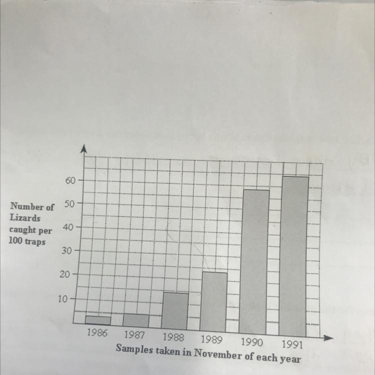 How many lizards were caught per 100 traps in 1989?-example-1