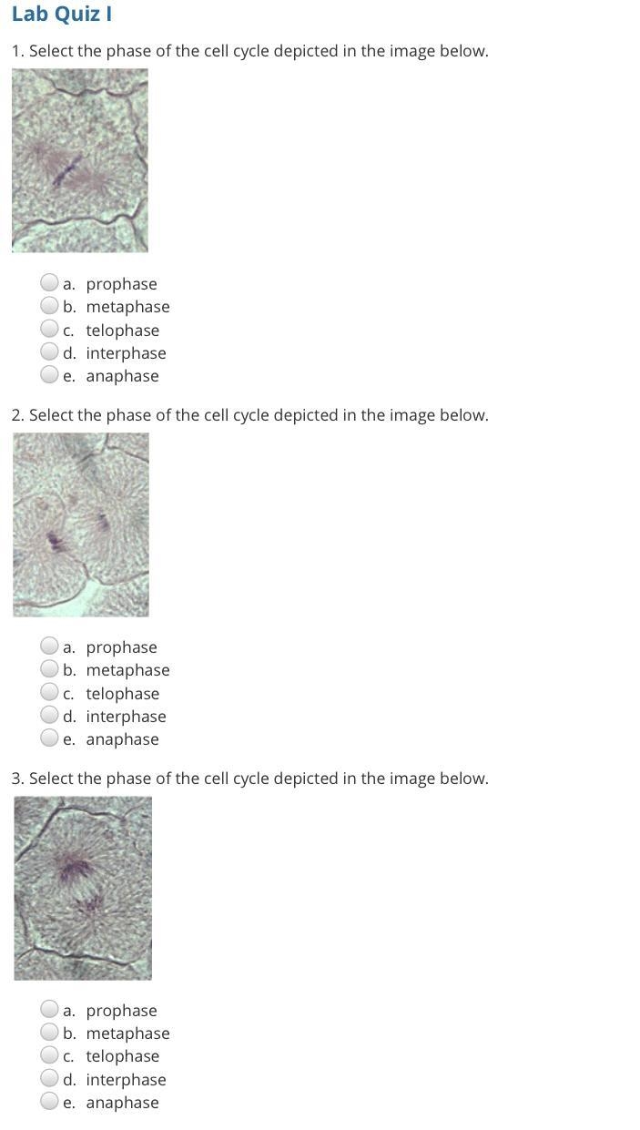 I’m new here can anyone help-example-1