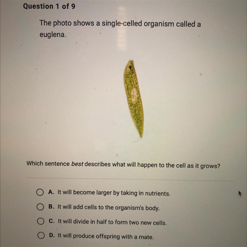 Which sentence best describes what will happen to the cell as it grows? O A. It will-example-1