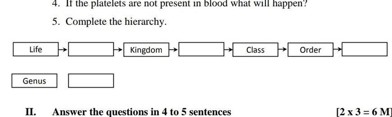 5th question pleasee asap​-example-1