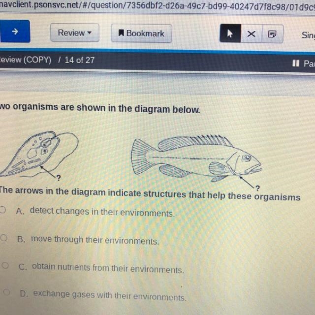 Two organisms are shown in the diagram below. The arrows in the diagram indicate structures-example-1