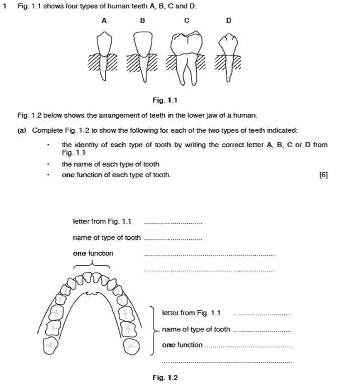 Can someone please help its urgent-example-1