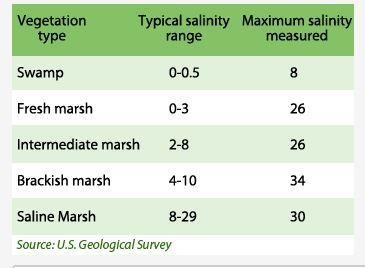 The table below shows salinity tests from coastal Louisiana following a salt water-example-1