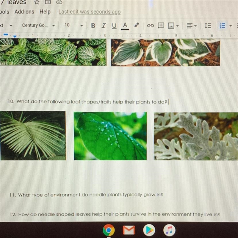 What do the following leaf shapes/traits help their plants to do?-example-1