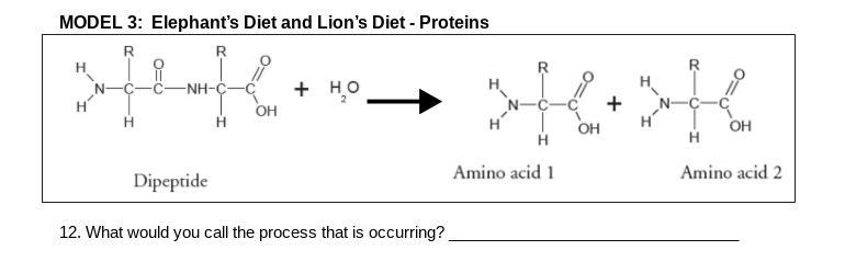 Which process is this?-example-1