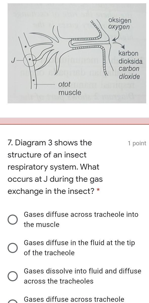 I need help... Any kind soul please help me ​-example-1