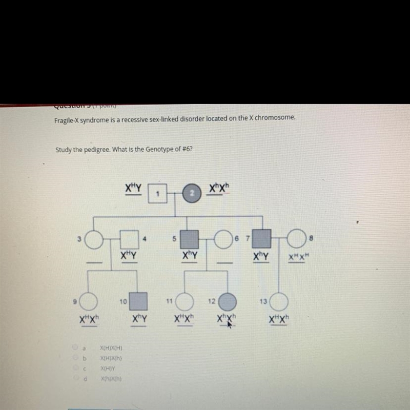 Is it a, b, c, or d ? (Zoom if you can’t see)-example-1