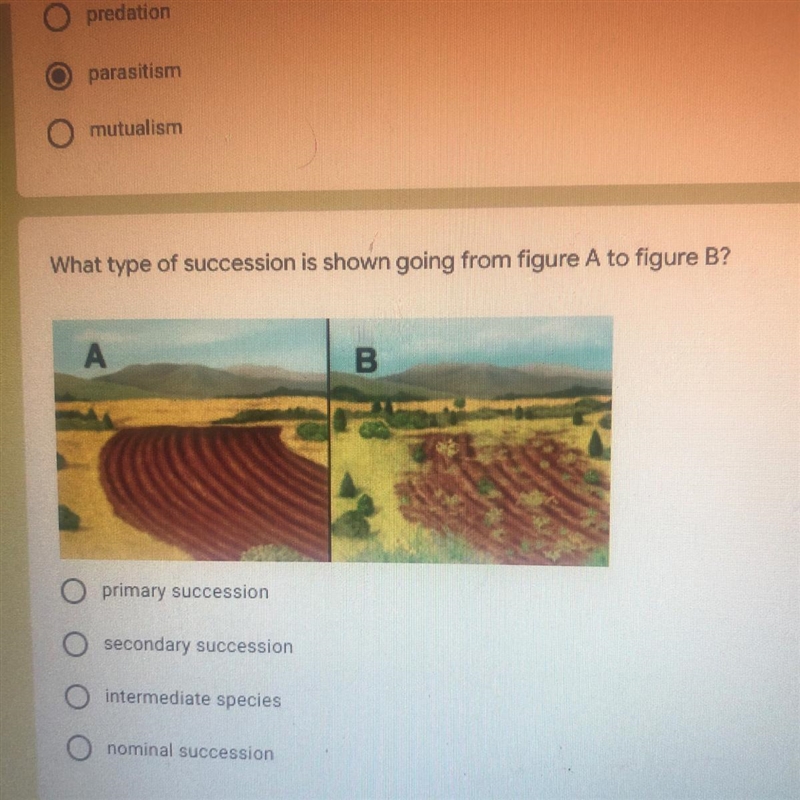 What type of succession shown from figure a to figure b PLeASe ASAP !!!!-example-1