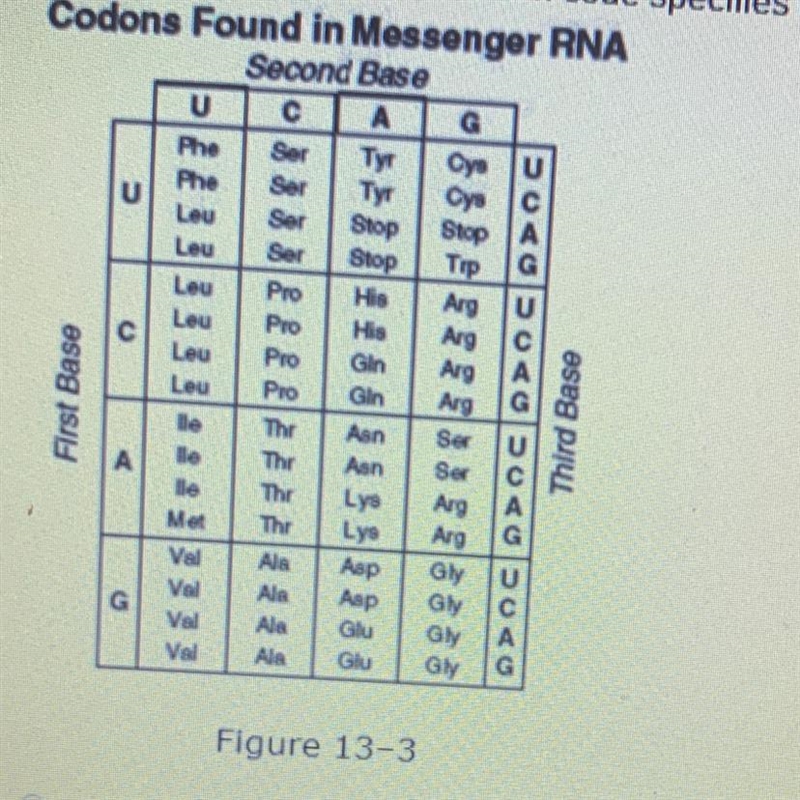 According to Figure 13-3, which code specifies the same amino acid as UAU? A) UAC-example-1