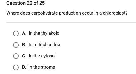 Where does carbohydrate production occur in a chloraplast?-example-1