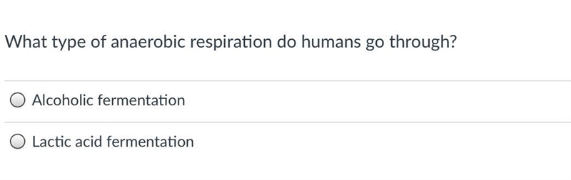 What type of anaerobic respiration do humans go through?-example-1