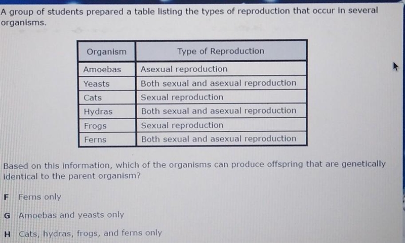 Pls help do this I don't know what to pick!! if correct to I'll make brainless!!​-example-1