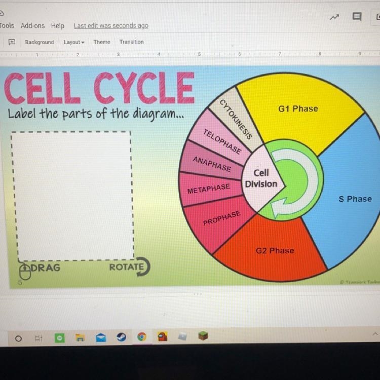 What part of the cell cycle is this?-example-1