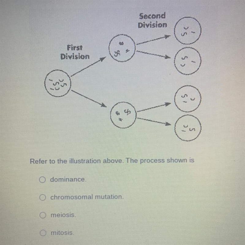 Help me with this question?-example-1