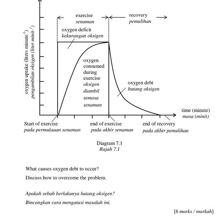 How do i explain this?-example-1